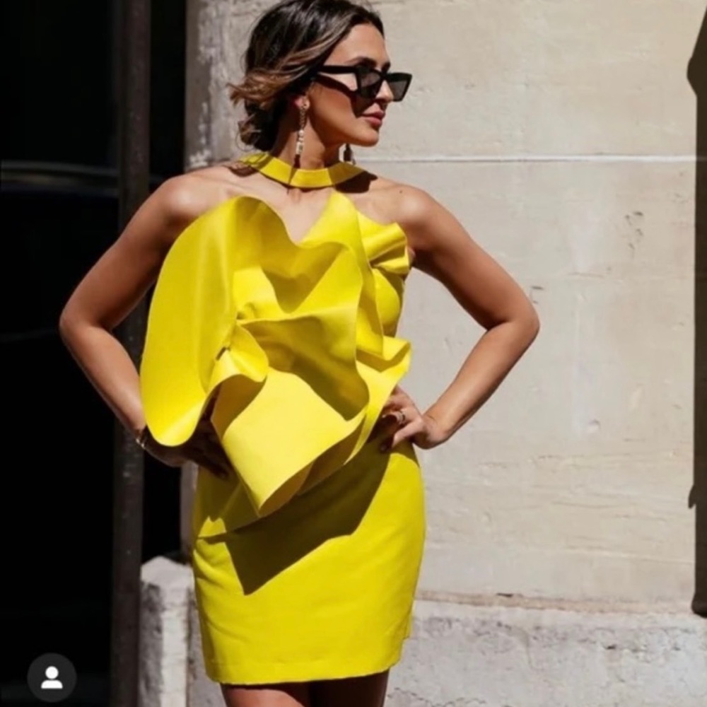 Zara new Voluminous Dress limited edition !